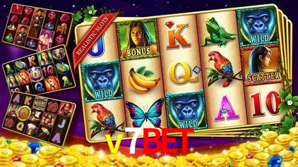 v7bet Brasília - Bonus Features